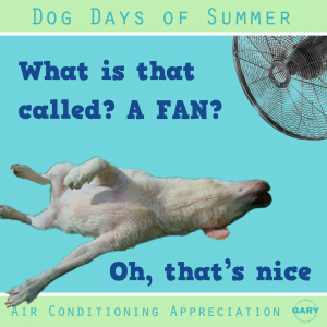 dog days fan